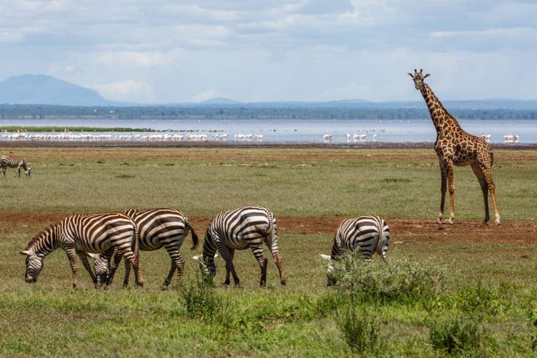 Lake-Manyara-National-Park