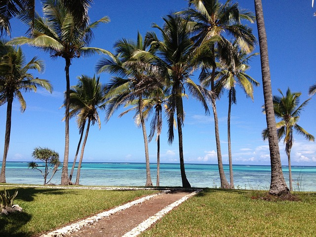Travel to Tanzania Zanzibar with Altan Safaris (4)