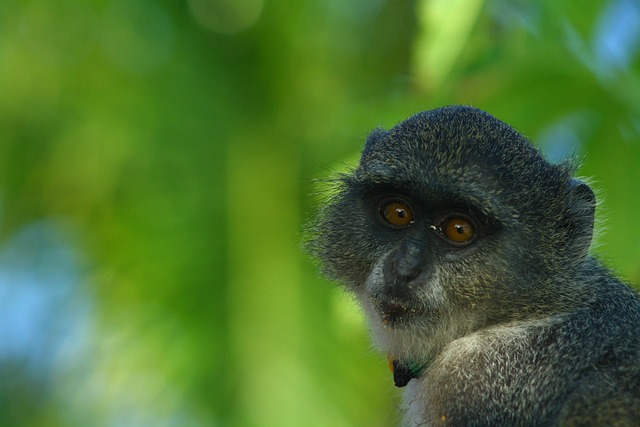 Travel to Tanzania Zanzibar with Altan Safaris (5)