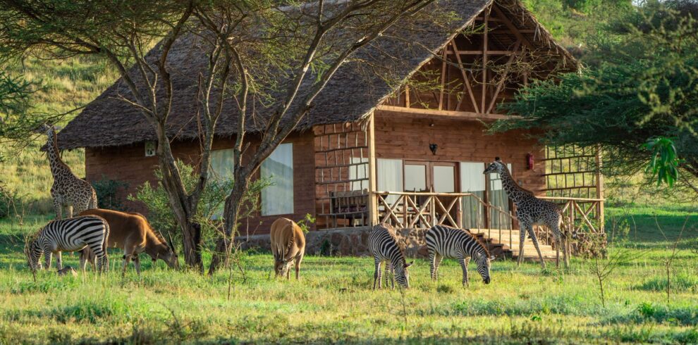 Tanzania day trips