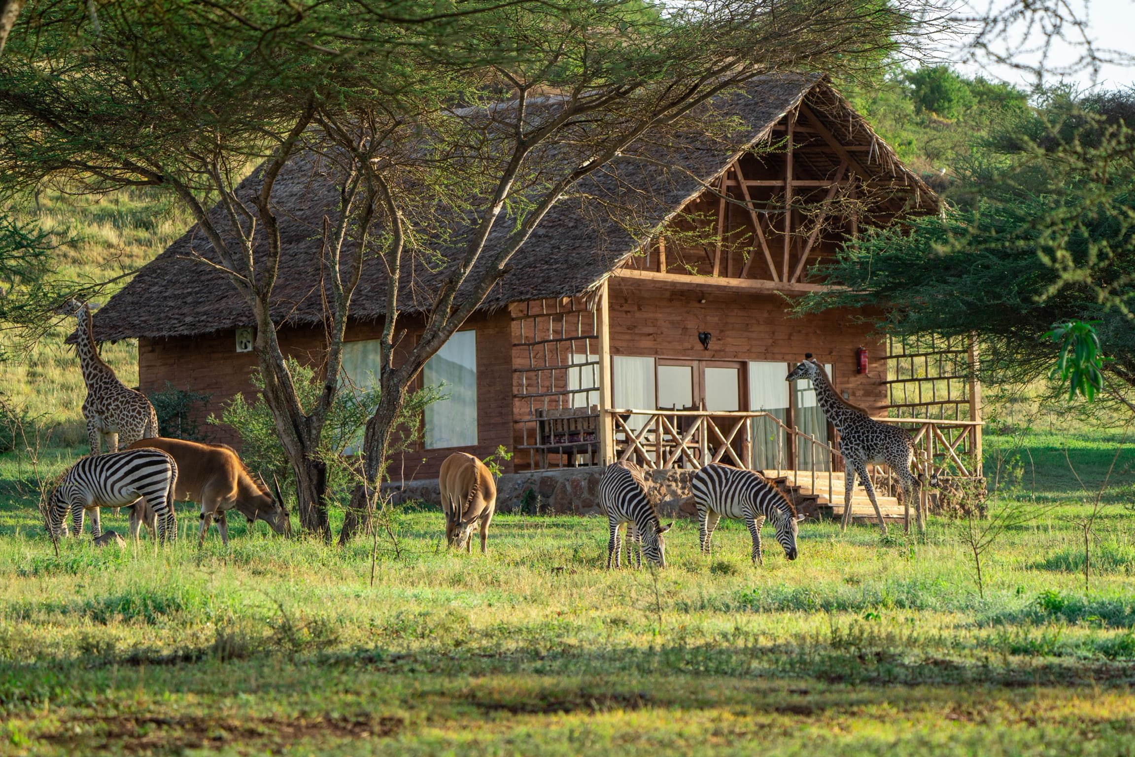 Tanzania day trips