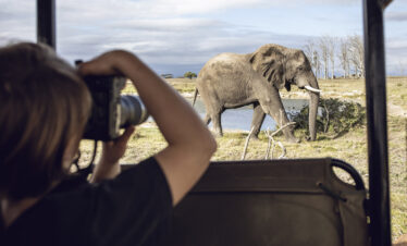 3 Days Safari