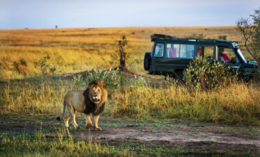 1 Day – Arusha National Park