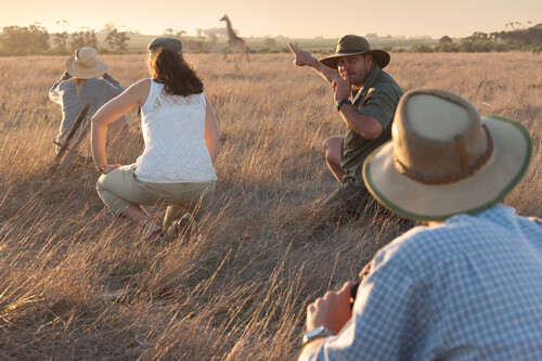 Walk Safari - Tanzania Safari Experiences