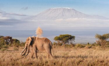 7 Days Kilimanjaro Climb – Rongai Route