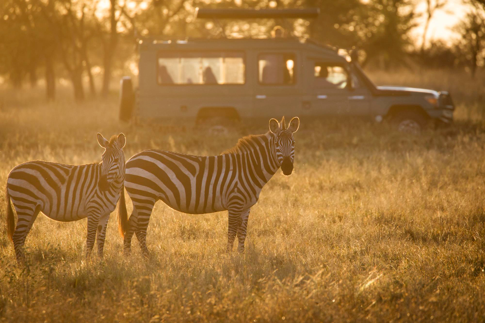 Tailor-made safaris Tanzania