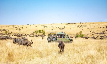 4 DaysThe African Wildlife And Iconic Heritage